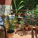 Zala Apartment