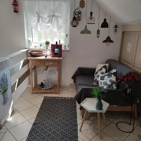 Zala Apartment *