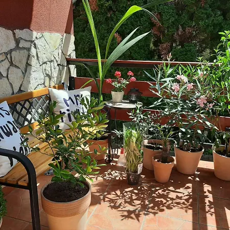 Zala Apartment