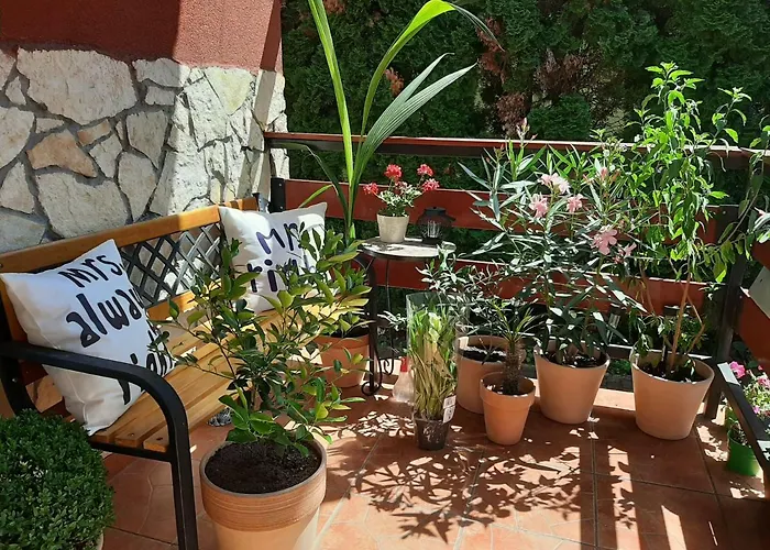 Zala Apartment